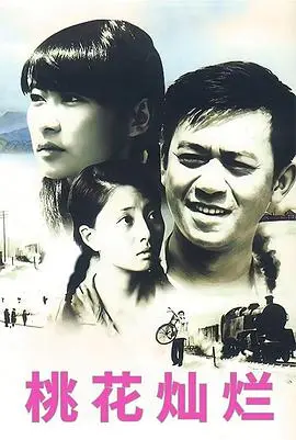 桃花灿烂(2007) 海报