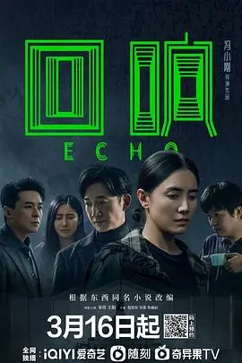 《回响》：失落记忆的迷宫，一场关于爱与救赎的穿越之旅