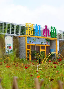 《彩虹小镇》：治愈心灵的奇幻冒险，探寻失落的色彩与勇气！