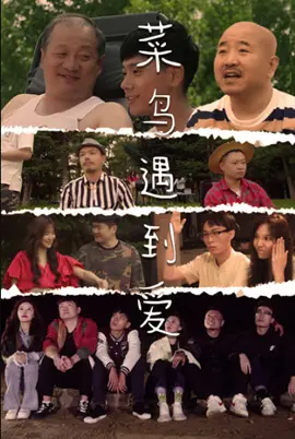 《菜鸟遇到爱》：笨拙追爱记，笑泪交织的平凡爱情，让你相信真爱无敌！